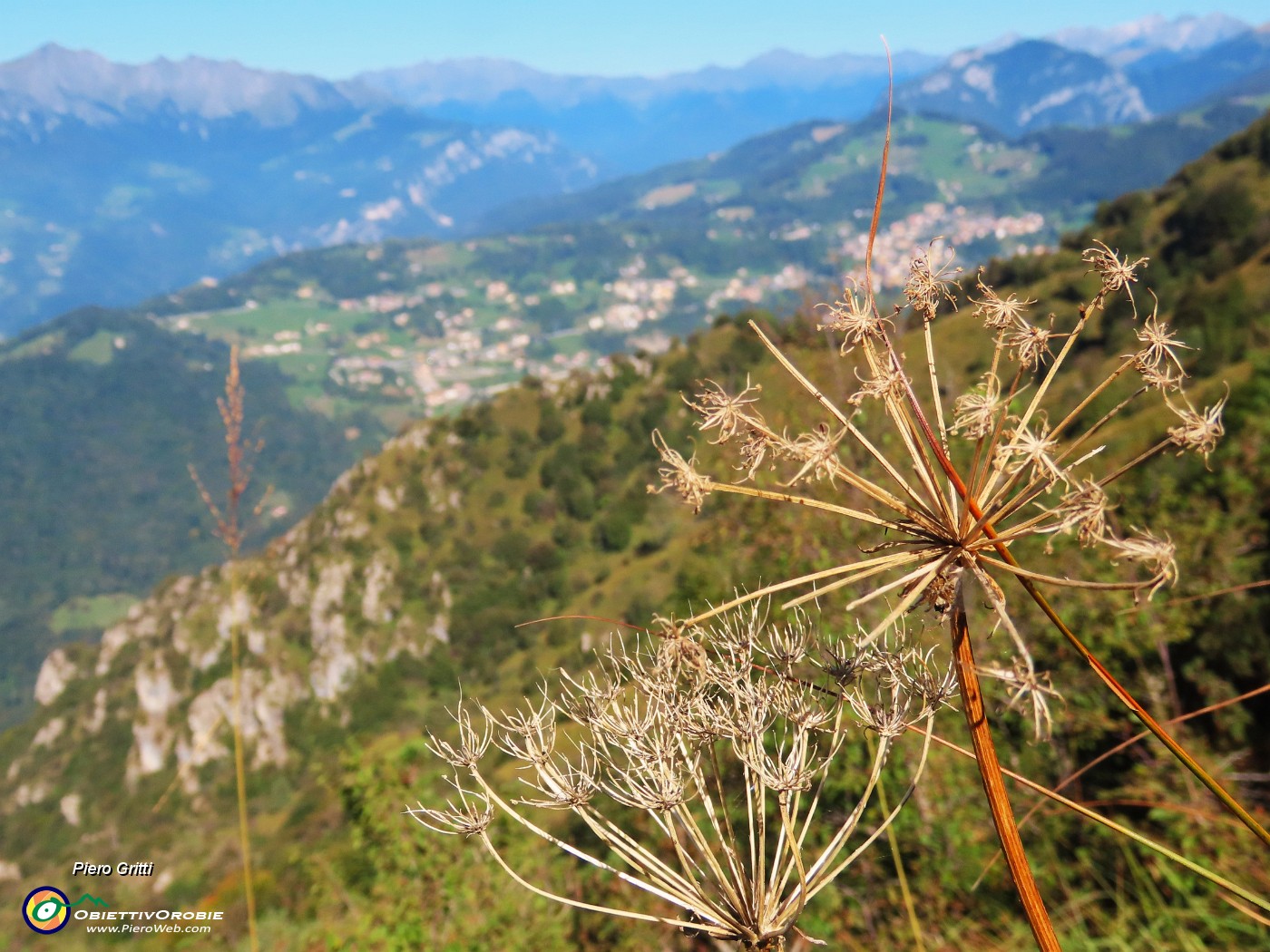 53 Colori d'inizio autunno.JPG